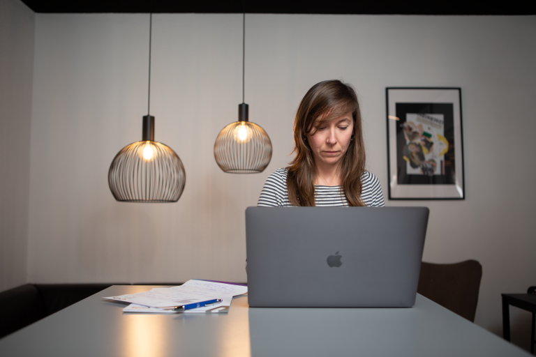Eine weibliche Person arbeitet am Laptop, im Hintergrund hängen zwei Lampen